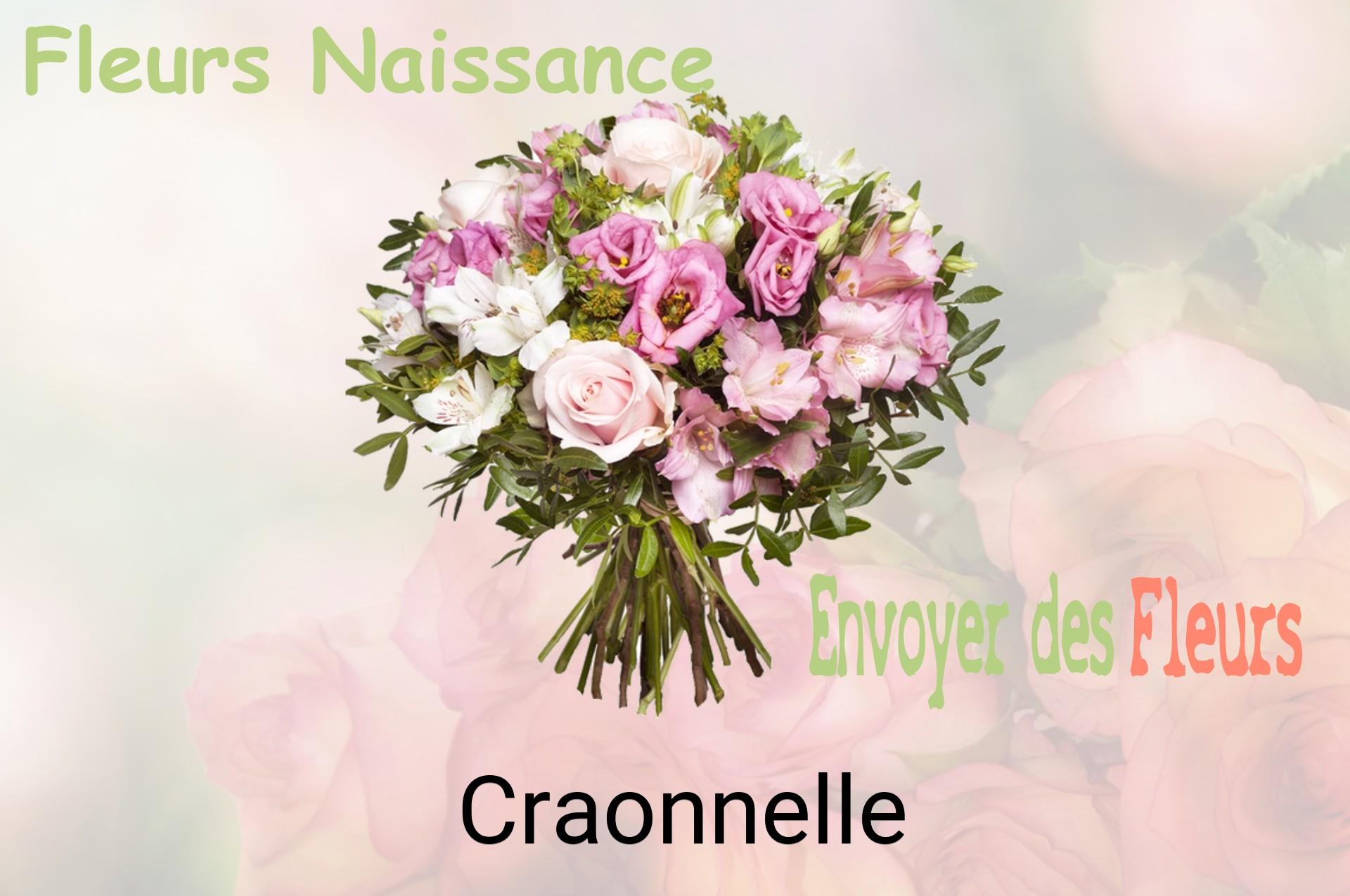 Bouquet de fleurs de naissance livré à Craonnelle